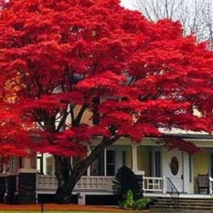 Meet your Posher, Addie